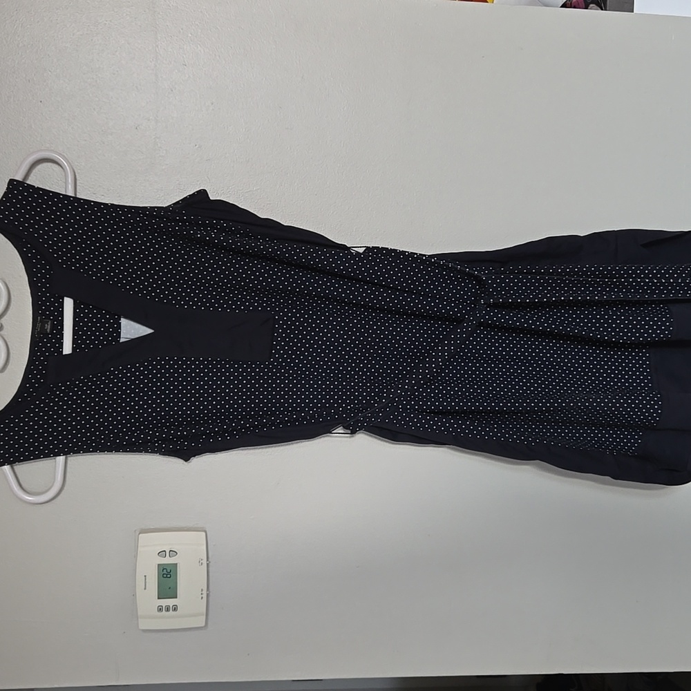 Ann Taylor Polka Dot Dress